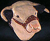 Hereford bull’s head. Facing front/right.