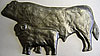 Bull and Welsh Black Dorset Ram. Facing left. 4” x 7.5” & 3.5” x 6”