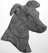 Greyhound head. Facing right. 5.5” x 4”
