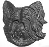 Yorkshire Terrier head. Facing front. 6” x 6”