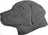Labrador head. Facing left. 6.5” x 9”