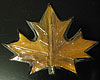 Maple leaf. 5” x 6.5” & 2.5” x 3”
