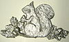 Squirrel. With acorn, facing left. 4.5” x 7”