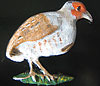 Partridge. (Small), facing right. 2.5” x 2.5”