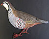 Partridge. (Red-legged), facing left. 5” x 6”