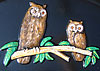 Owls (long-eared). Two on branch. 5” x 7.5”