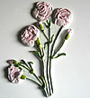 Carnations/Pinks. 3.5” x 6.5”