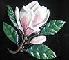 Magnolia. 4” x 4.5”