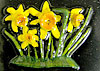 Daffodils. 1.5” x 2”