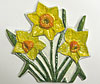 Daffodils. 3” x 3.5”