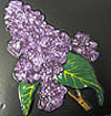 Lilac. 4.5” x 6”