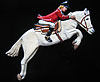 Show Jumper. Jumping right. 4.5” x 6”