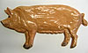 Tamworth Pig. Facing right. 3.5” x 7.5”