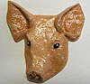 Pigs head. Facing front. 4” x 3.5”