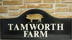 What could be more appropriate than a Tamworth pig for this Lancaster 3013 sign?  The lettering is set out in Times 50mm (2”) lettering, in gold