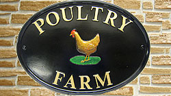 What a perfect emblem for this Oxford sign! The gold letters, set out on the top and bottom curves of the sign, compliment the colours of the hen beautifully