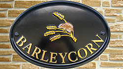 The gold Times lettering on this Oxford 1510 sign is the perfect choice of letter colour to go with the lovely bright emblem of the cute little mouse on the corn